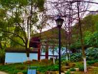 Luobinwang Park: A Cultural Tribute in Yiwu