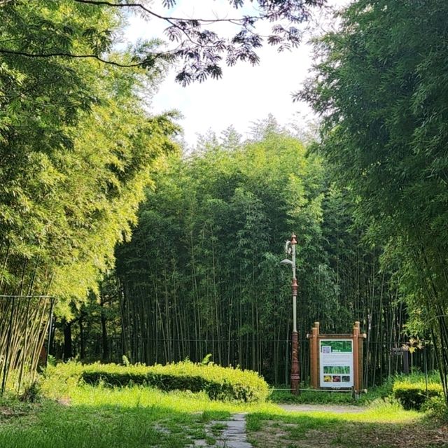 대전 도심 속 오아시스, 한밭수목원🌿