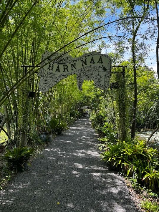 BarnNaa Cafe  💚🌿