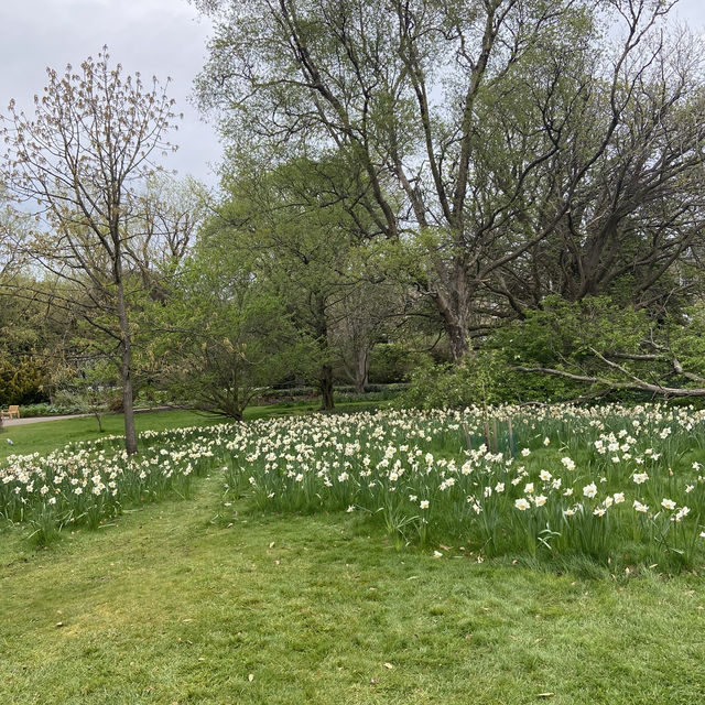 Dreamy Nature in Royal Botanic Gardens (Edinburgh)