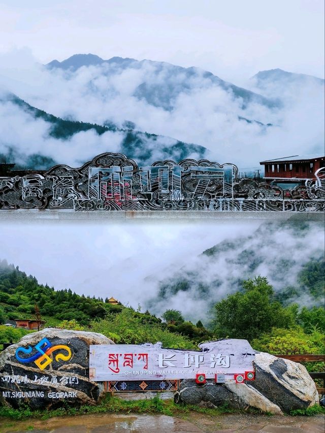 長坪溝徒步--歷史及原始生態探秘