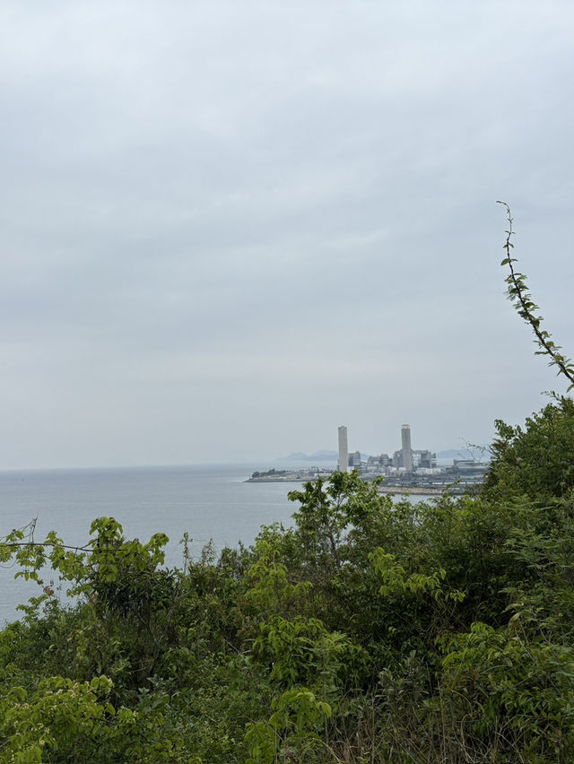 🏝️ 香港南丫島一日遊：從榕樹灣到索罟灣的海風與海鮮之旅！🌊✨