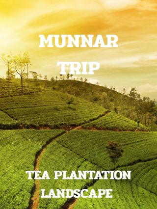 Поездка в Муннар