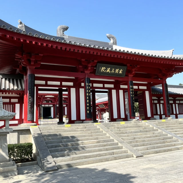 🕰 Day Trip in Xi’an — From Tang Dynasty Heritage to Modern Lights