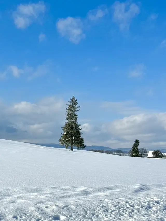 冬季札幌3日4夜旅行行程