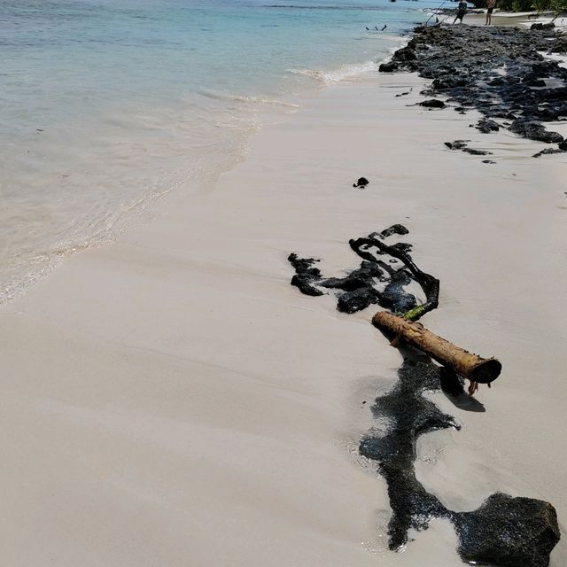 馬達京島最靚海灘秋千打卡🏖