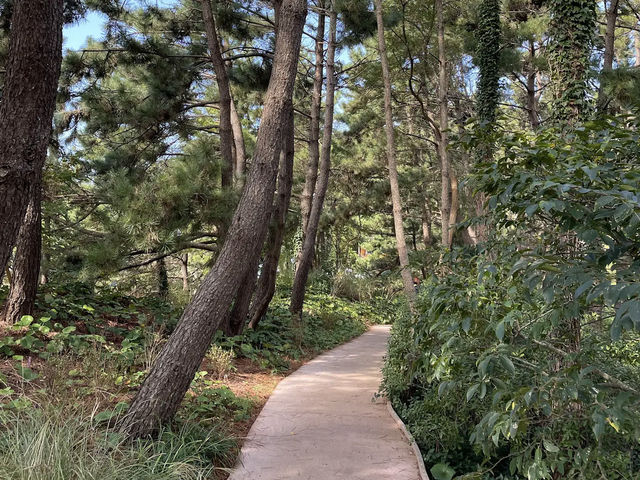 천리포수목원 천리포수목원