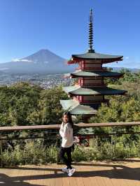Arakurayama Sengen Park ✨