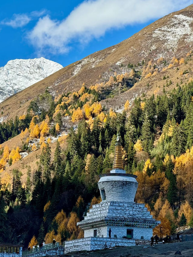 Golden Autumn Views🍂