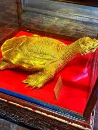 📜 “Temple of Literature – Vietnam’s First University & Timeless Treasure”