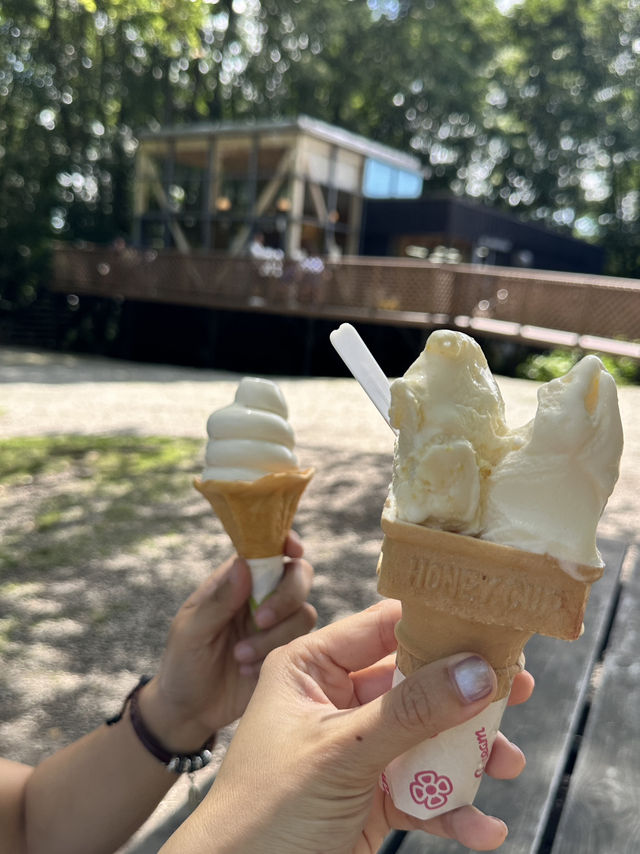 ✨One day trip in Furano แบบไม่เช่ารถ✨