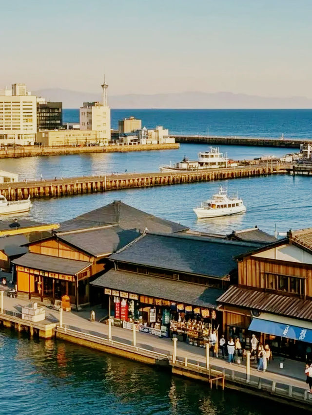 仙台🇯🇵城市樣貌