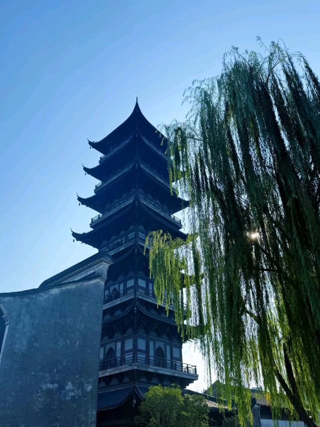 Step Back in Time: Discover the Quiet Charm of Wuzhen East Step Back in Time: Discover the Quiet Charm of Wuzhen East
