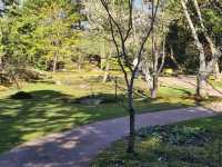 Gothenburg Botanical Garden