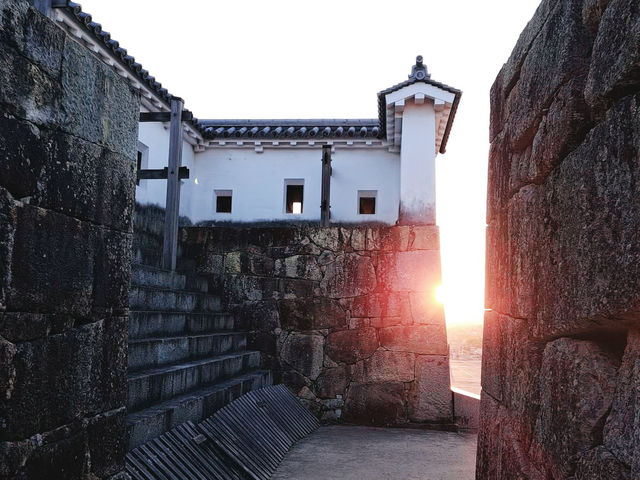 The Castle in the Mist: My Return to Tsuyama Castle