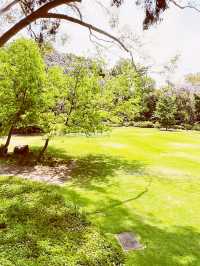🌳 UWA: Where Ancient Trees Frame Modern Education in Nature's Grand Amphitheater! 🎓