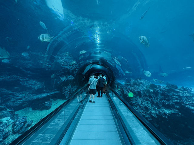 屏東海生館