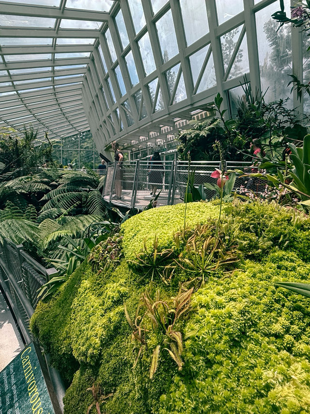 新加坡 4日3晚 游 新加坡 4日3晚 游