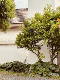 Wellness Redefined: The Premier SPA Experience