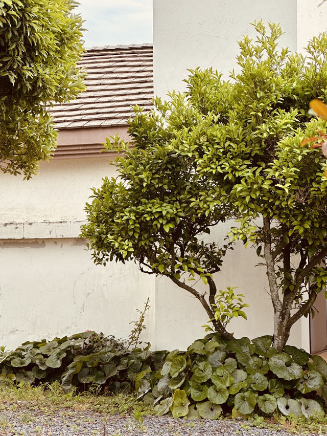 Wellness Redefined: The Premier SPA Experience