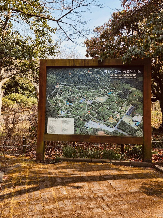  Botanical Showcase of Jeju's Diversity