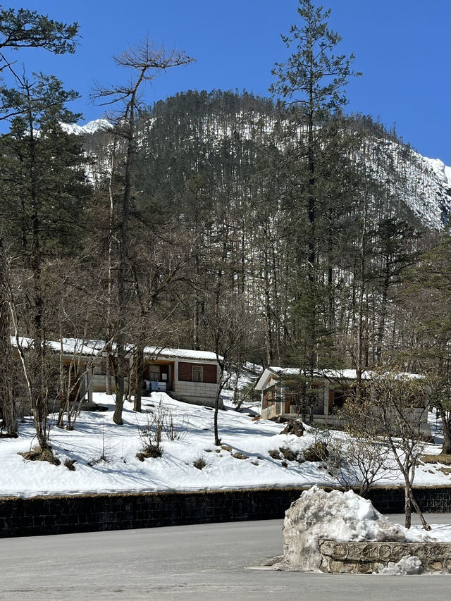 Yulong Snow Mountain : Golden Glow & White Snow