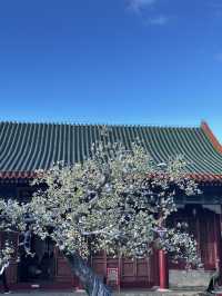 珠海圓明新園1:1