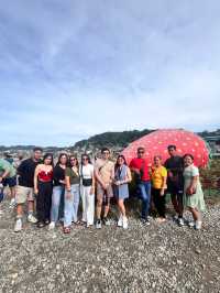 2days Itinerary in BAGUIO 