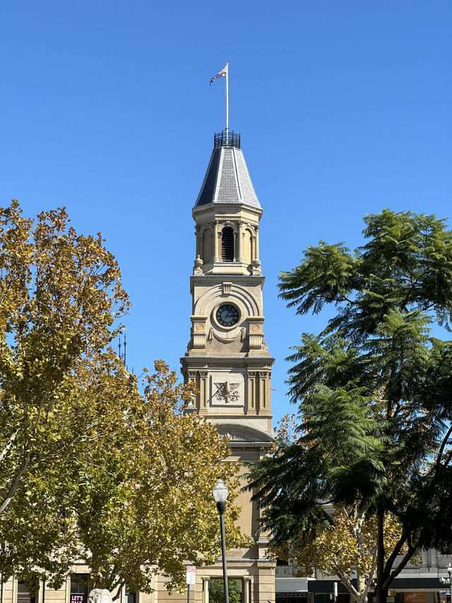 【オーストラリア・フリーマントル】港町の魅力を感じる散歩「Fremantle Walk」🚶‍♀️⚓
