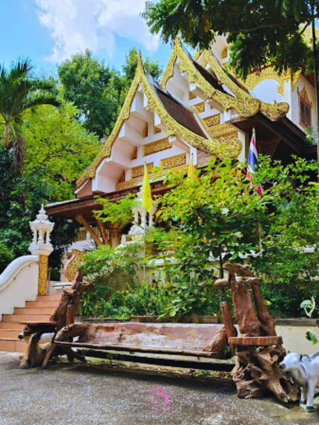 🌹วัดพระธาตุช่อแฮ