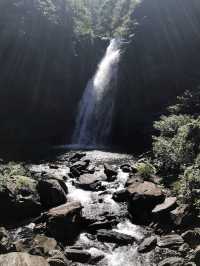 💧🌿 Nature’s Symphony at Xinliao Waterfall 🌸🏞️