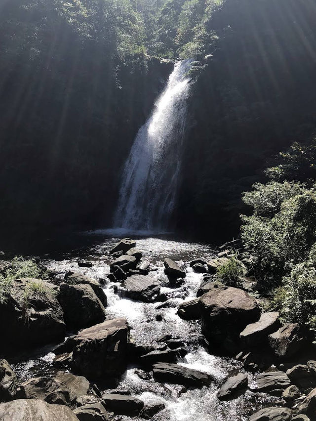 💧🌿 Nature’s Symphony at Xinliao Waterfall 🌸🏞️