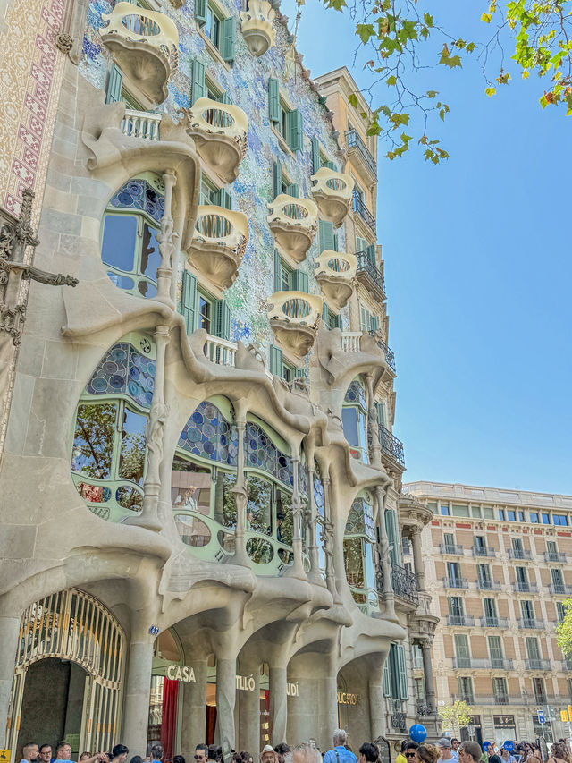 어느 날 하루, 바르셀로나에서 좋았던 모먼트🇪🇸