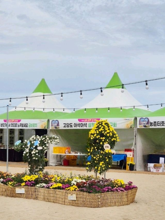 삼척해변 앞 가을 향기 가득한 국화전시회 나들이