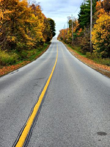 When you think of Milton, Ontario, most people probably picture a quiet residential community. But true connoisseurs know that a road trip in Milton is a hidden gem! These country roads, when the fall foliage turns golden, resemble a warm-colored carpet, with the surrounding trees ablaze in vibrant gold and orange. Whether sunny or rainy, driving along them is incredibly soothing, and every snapshot is a masterpiece.

Highlights of an Autumn Road Trip:

🌳 Leisurely country roads where you can stop and explore at your leisure, far from the city crowds. The trees sway gently, leaves flutter down, and autumn is in full bloom.

🚗 No need to plan specific destinations; simply drive and discover the tranquility and warmth of nature.

📸 We recommend setting off on a sunny day. The golden forest scenery along the roads changes with the sunlight, creating a unique and layered landscape—both near and far views. Rainy days add an extra touch of gentle beauty.

🍁 Whether you enjoy outdoor adventures or are a photography enthusiast, Milton's autumn will fulfill your imagination of fall beauty.

