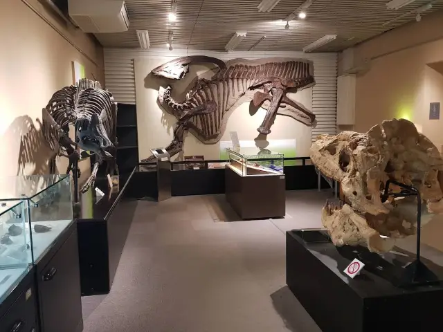 探索與學習於北海道大學博物館