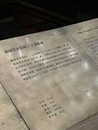 上海塔-摩登建築風格感受都市脈搏  