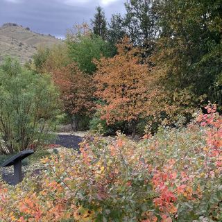 Idaho Botanical Garden