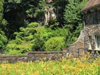 Winterthur Museum, Garden & Library