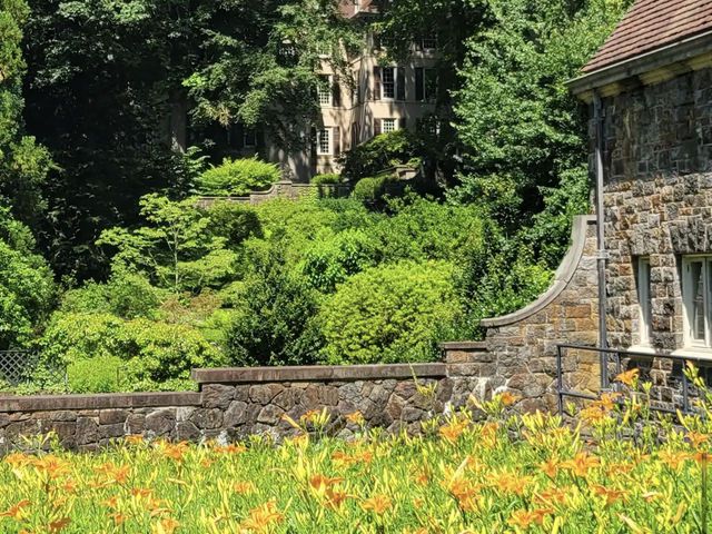 Winterthur Museum, Garden & Library