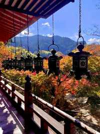 Nara – Where Autumn Whispers Through Ancient Temples and Deer Parks 🇯🇵🦌