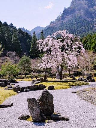 隱密的現代靜修之所：彥山大權源獨奏