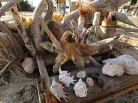 Onok Island - Paradise of sea turtle