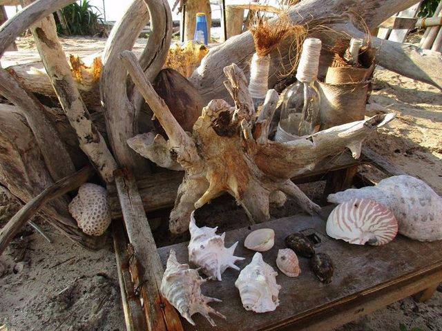 Onok Island - Paradise of sea turtle