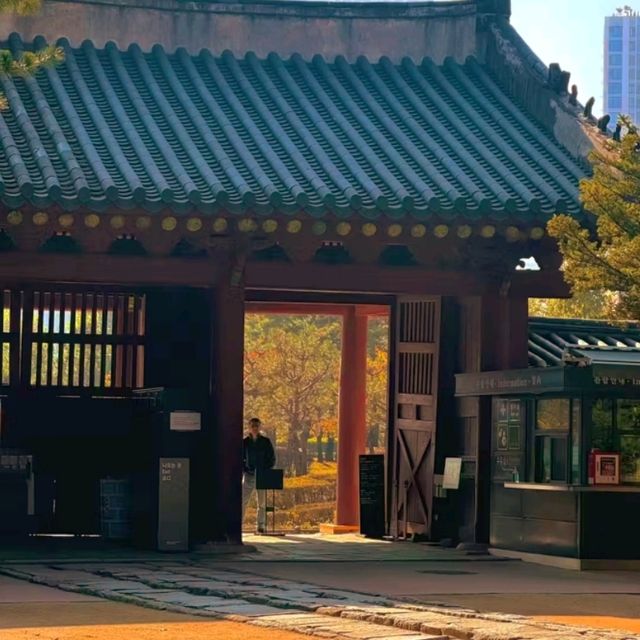 🏛️ Jongmyo Shrine – Seoul’s Timeless Confucian Heritage