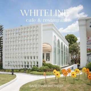 🌲🌻 𝐖𝐡𝐢𝐭𝐞𝐥𝐢𝐧𝐞 𝐂𝐚𝐟𝐞 