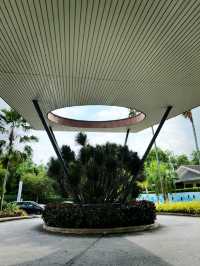 🎉 Fun Times Await at Amigo Clubhouse! 😄