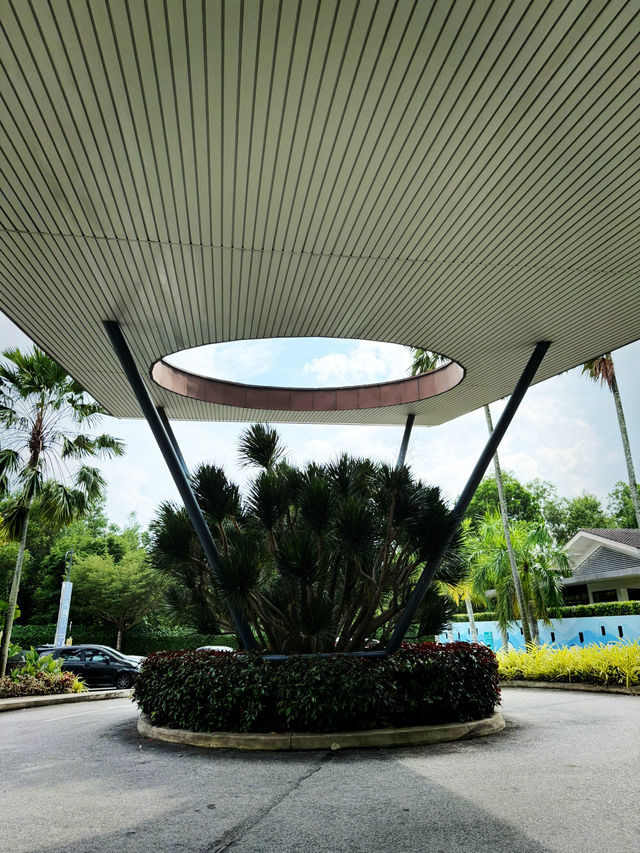 🎉 Fun Times Await at Amigo Clubhouse! 😄