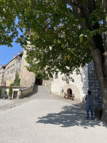 체코 프르지세치나(Přísečná) 도시 산책 후기 🚶‍♀️
