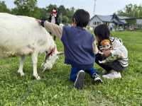 北海道洞爺湖的靈魂所在